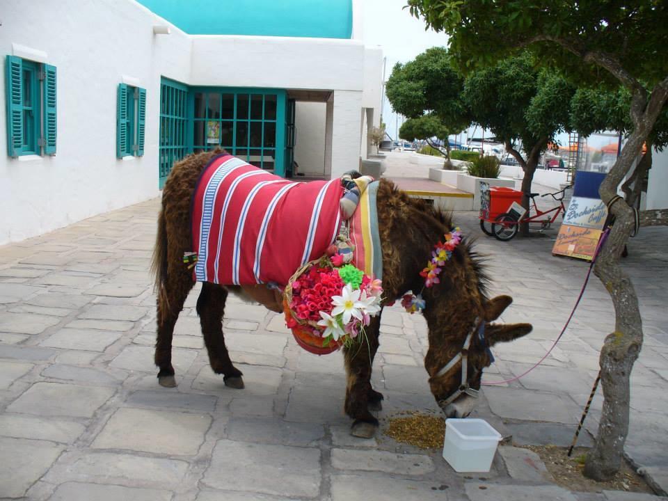 Mykonos Holidays @ Club Mykonos Langebaan Exterior photo